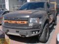 Ford Rabter 2010